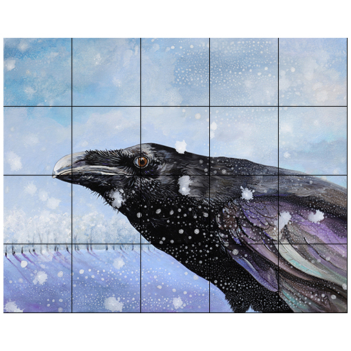 Baker 'Winter Raven"